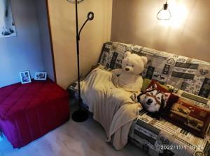 um urso de peluche sentado numa cama ao lado de um cão em duplex vieille ville, à partager avec 2 chats em Briançon