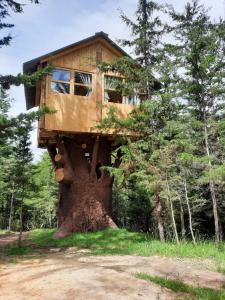 una casa del árbol construida sobre un tronco de árbol en Casa Mujer Villa Agueda en Chocontá