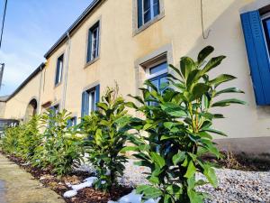 a row of plants in front of a building at Maison Egalité in Melay