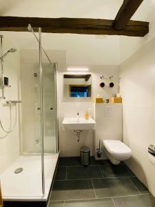 a bathroom with a shower and a sink and a toilet at YourFavoriteBed 80m2 Designwohnung im Zentrum 2 in Zwickau