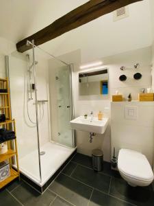 y baño con ducha, lavabo y aseo. en YourFavoriteBed 80m2 Designwohnung im Zentrum 2, en Zwickau