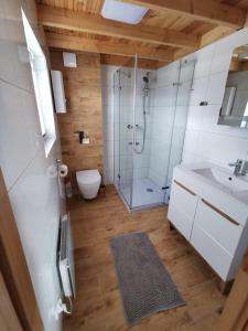 a bathroom with a shower and a toilet and a sink at Zbychówko in Zbychowo
