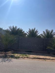 a large brick wall with palm trees in the background at مزرعة السلطانية in Buraydah
