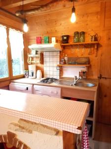 - une cuisine avec un évier et un comptoir dans l'établissement Chalet de campagne, à Sancey-le-Long