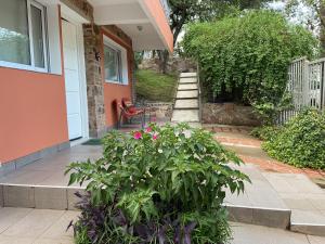 un porche de una casa con una planta en Los Zorzales en Villa Carlos Paz