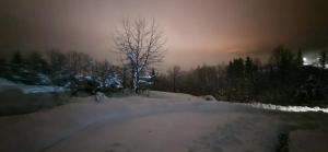 Billede fra billedgalleriet på Holiday House Nika i Vrbovsko