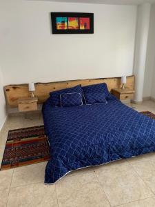 Postel nebo postele na pokoji v ubytování Bellísimos apartamentos céntricos en La Mesa