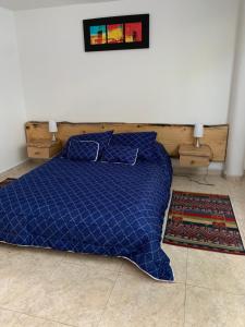 Postel nebo postele na pokoji v ubytování Bellísimos apartamentos céntricos en La Mesa