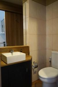 La salle de bains est pourvue d'un lavabo et de toilettes. dans l'établissement Student park apartment, à Seturan