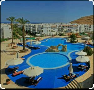 Bazén v ubytování Riviera Sharm El-Sheikh neues komfortables großes renoviertes Apartment auch für Langzeitmieter buchbar nebo v jeho okolí