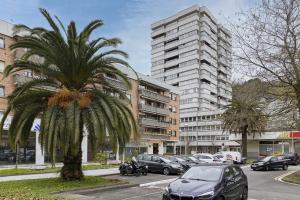 a palm tree in front of a parking lot with cars at Enjoy - Basque Stay in San Sebastián