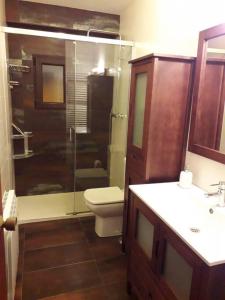 a bathroom with a shower and a toilet and a sink at Casa Rural El Rincón de Diego in La Puebla de Valverde