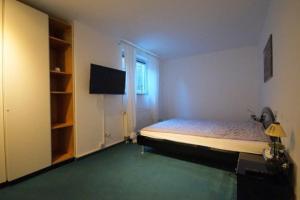 a bedroom with a bed and a television in it at Wohnung Tannengrün in Schmitten