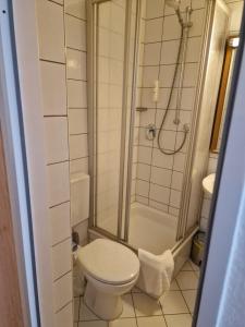 a bathroom with a toilet and a shower at Hotel Pegasus in Munich