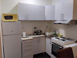 Kuchyň nebo kuchyňský kout v ubytování Apartman Lenka