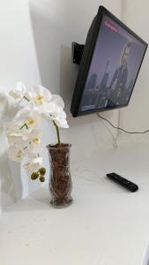 a vase with white flowers on a table with a tv at Apartamento Tati Ortega in Ilha Comprida