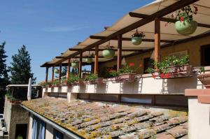 Gallery image of Casa Vacanze Rondini Blu in Montespertoli +74 photos