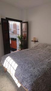 1 dormitorio con 1 cama grande y ventana en Casa Carmen, en Granada