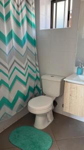 塔尔卡Casa Sector Oriente Talca的带马桶和浴帘的浴室