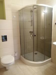 bagno con doccia e servizi igienici. di Hotel Rycerski a Czeladź