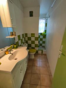 a bathroom with a sink and a toilet at Villa La Philomène - entre mer et montagne in Saint-Pierre
