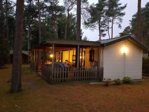 una piccola casa nel bosco di notte di Mooi chalet met grote tuin op een 4 sterren park. a Doornspijk