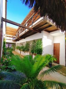 a courtyard of a house with plants on the wall at Pousada Sea Wind kite Preá in Prea