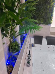 baño con bañera con plantas en Espectacular apartamento con spa privado, en Miami Platja