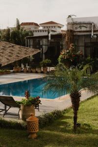 una palma seduta accanto alla piscina di Dar Tanja Boutique Hotel a Tangeri