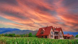 uma casa com um telhado vermelho sob um céu nublado em Begaso Family Winery em Kvareli