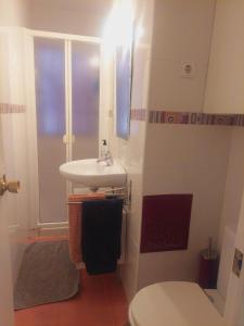 a bathroom with a toilet and a sink at Apartamento Ideal in Madrid