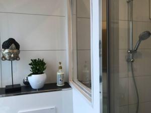 a bathroom with a shower and a plant on a shelf at schöne große Wohnung 2 Schlafzimmer bis 6 Pax nähe Stadion Signal Iduna in Dortmund