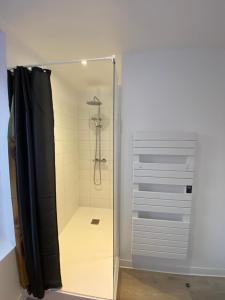 um chuveiro com uma porta de vidro na casa de banho em Rés. La Balastière des Vosges em Golbey