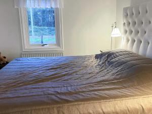 een bed in een slaapkamer met een raam bij Holiday home PRÄSSEBO II in Eckerud