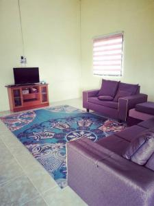 ein Wohnzimmer mit einem Sofa und einem Teppich in der Unterkunft HomeStay Abah Alor Pongsu 