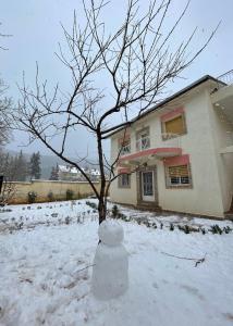 Villa ain soltan في إيموزار دو كاندار: رجل ثلجي أمام منزل به شجرة