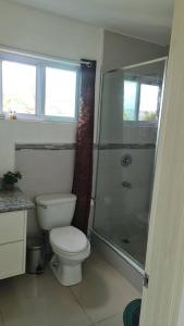 a bathroom with a toilet and a shower at Harloes Luxury Suite - Kingston Jamaica in Kingston
