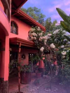 烏維塔的住宿－Casa Papaya，花房边的花房