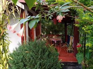A garden outside Littleadems View