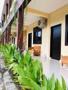 Zahrada ubytování Calliandra Homestay