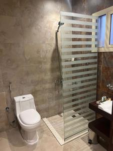 een badkamer met een toilet, een douche en een wastafel bij جراند أفيكس 2 للشقق المخدومة - GRAND AFFIX 2 in Riyad