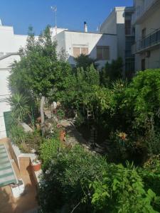 un jardin avec des plantes et des arbres et un bâtiment dans l'établissement Il Giardino della Nonna, à Alberobello