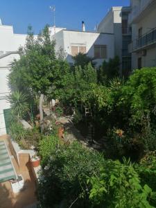 a garden with plants and trees and a building at Il Giardino della Nonna in Alberobello