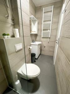 a small bathroom with a toilet and a shower at Tijana 2 in Pale