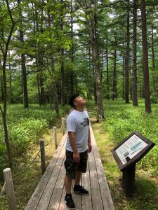 a man standing on a wooden path in the woods at Hatago Nagomi in Nikko