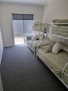 2 Etagenbetten in einem Zimmer mit Fenster in der Unterkunft Olley's Place in Wellington East