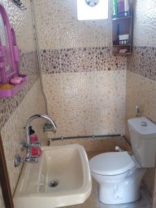 małą łazienkę z toaletą i umywalką w obiekcie شقة سيلا w mieście Irbid