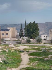 a dirt road in a field with trees and buildings at شقة سيلا in Irbid