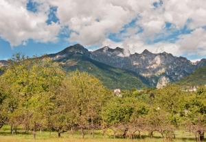eine Bergkette mit Bäumen und Bergen im Hintergrund in der Unterkunft 2 Camere Panoramico nelle Dolomiti Bellunesi in Pedavena