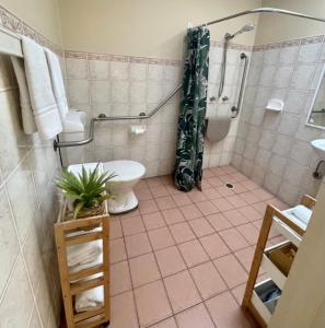 a bathroom with a shower and a toilet and a sink at Estelle Kramer Motel in Armidale